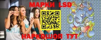 гашик Тверь